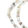 Natural Botswana Agate Beads Strands G-F748-B01-01-4