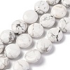 Natural Howlite Beads Strands G-C159-A01-01-1