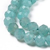 Natural Amazonite Beads Strands G-C009-A01-4