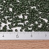 MIYUKI Delica Beads X-SEED-J020-DB2291-4