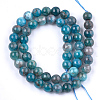 Natural Apatite Beads Strands G-F591-01-4