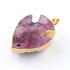 Fish Dyed Natural Druzy Agate Fish Pendants G-R275-108-3