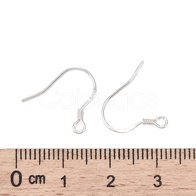 925 Sterling Silver Earring Hooks STER-P032-03S-1