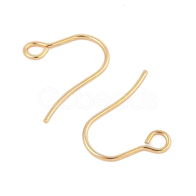 316 Surgical Stainless Steel Earring Hooks STAS-A056-11G-B-1