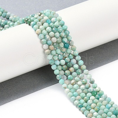 Natural Amazonite Beads Strands G-G139-A15-03-1