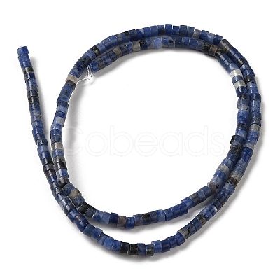 Natural Sodalite Beads Strands G-E612-A12-1