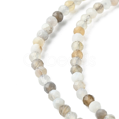 Natural Botswana Agate Beads Strands G-F748-B01-01-1