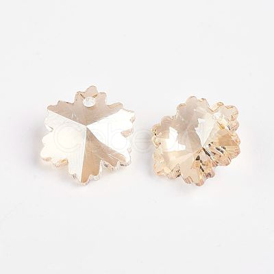 Faceted K9 Glass Charms EGLA-P026-F03-1