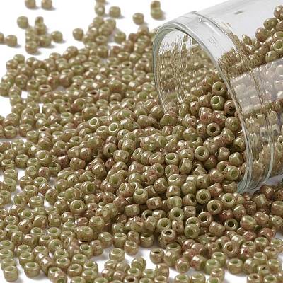 TOHO Round Seed Beads SEED-JPTR11-1209-1