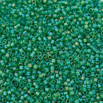 MIYUKI Delica Beads X-SEED-J020-DB0858-1