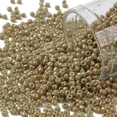 TOHO Round Seed Beads SEED-JPTR11-1209-1