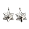 Alloy Pendants, Lead Free & Cadmium Free, Star of David with Flower Pattern, Platinum, 18x12x4mm, Hole: 2.5mm