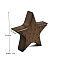 Wooden Earrings Storage Rack, Jewelry Display Holders, Star, 9.46x9.46x2.16cm