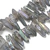Electroplated Natural Quartz Crystal Beads Strands G-A142-03L-1