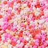 Baking Paint Glass Seed Beads SEED-S042-05A-08-3