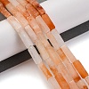 Natural Carnelian Beads Strands G-F631-E15-01-4