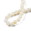 Natural White Shell Bead Strands SSHEL-N003-144E-01-4