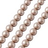 Shell Pearl Beads Strands BSHE-TA0002-03B-10mm-2