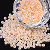 Glass Seed Beads X1-SEED-A011-4mm-147-1
