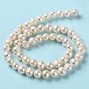 Natural Cultured Freshwater Pearl Beads Strands PEAR-E018-38-3