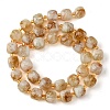 Natural Citrine Beads Strands G-Q010-A24-01-3