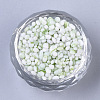 Baking Paint Glass Seed Beads SEED-S016-02A-01-2