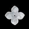 Glass Beads Caps GLAA-A011-18D-1