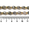 Natural Labradorite Beads Strands G-H295-C15-01-4
