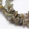 Natural Labradorite Beads Strands G-F521-13-3