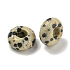 Natural Dalmatian Jasper Beads G-Q173-03A-24-2