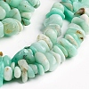 Natural Chrysoprase Chips Beads Strands G-D0002-A11-3