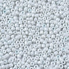 Glass Seed Beads SEED-S061-A-979-3