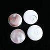 Natural Conch Shells Round Decorations PW-WG89460-01-4