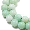 Grade A Natural Chrysoprase Beads Strands G-R494-A02-02-3