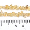 Natural Citrine Chip Beads Strands X-G-D093-A03-5