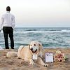 Velvet Rhinestones Detachable Pet Wedding Couple Ring Bearer Box RDIS-WH0019-08A-6