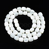 Natural Trochid Shell/Trochus Beads Strands SSHEL-N027-130B-01-2