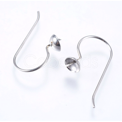 Tarnish Resistant 304 Stainless Steel Earring Hooks STAS-I069-41-1