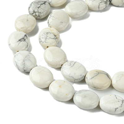 Natural Howlite Beads Strands G-K365-B14-02-1