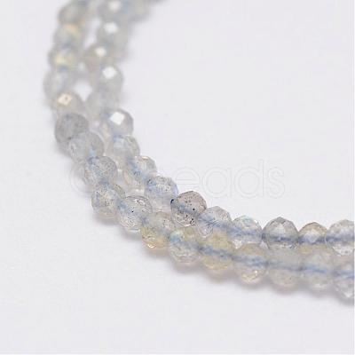 Natural Labradorite Beads Strands G-E347-14-1