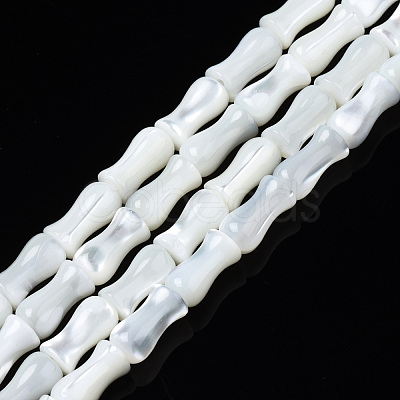 Natural Trochid Shell/Trochus Shell Beads Strands SSHEL-N034-122-B01-1