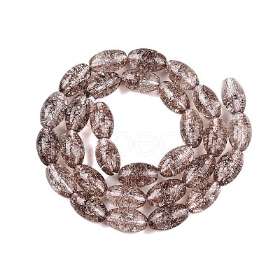 Transparent Crackle Glass Beads Strands GLAA-S192-B-010B-1