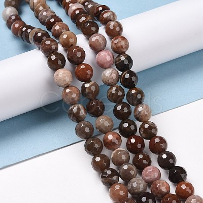 Natural Petrified Wood Beads Strands G-E571-27B-1