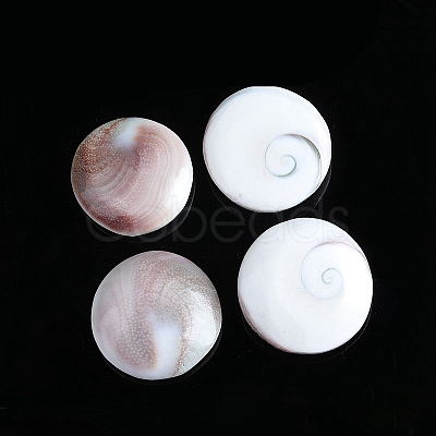 Natural Conch Shells Round Decorations PW-WG89460-01-1