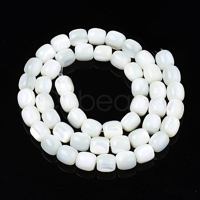 Natural Trochid Shell/Trochus Beads Strands SSHEL-N027-130B-01-1