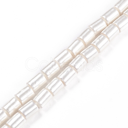 Electroplated Shell Pearl Beads Strands BSHE-G027-07B-01-1