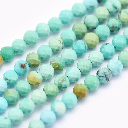 Natural Turquoise Beads Strands G-O166-17-2mm-1