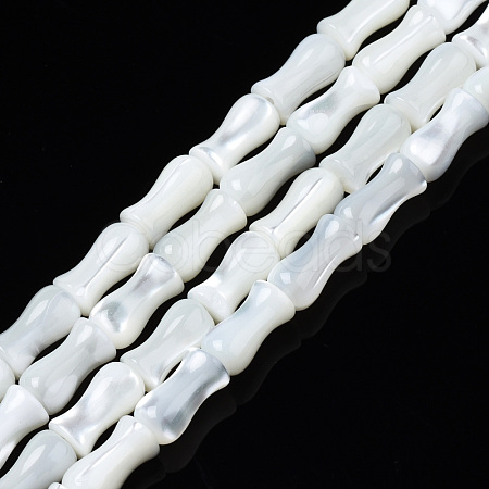 Natural Trochid Shell/Trochus Shell Beads Strands SSHEL-N034-122-B01-1