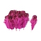 Feather Ornament Accessories, Camellia, 50~80mm, 100pcs/set