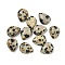 Natural Dalmatian Jasper Cabochons, Teardrop, 10.5x8x4mm